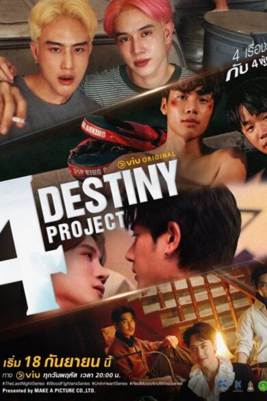 4 Destiny Project (2025)